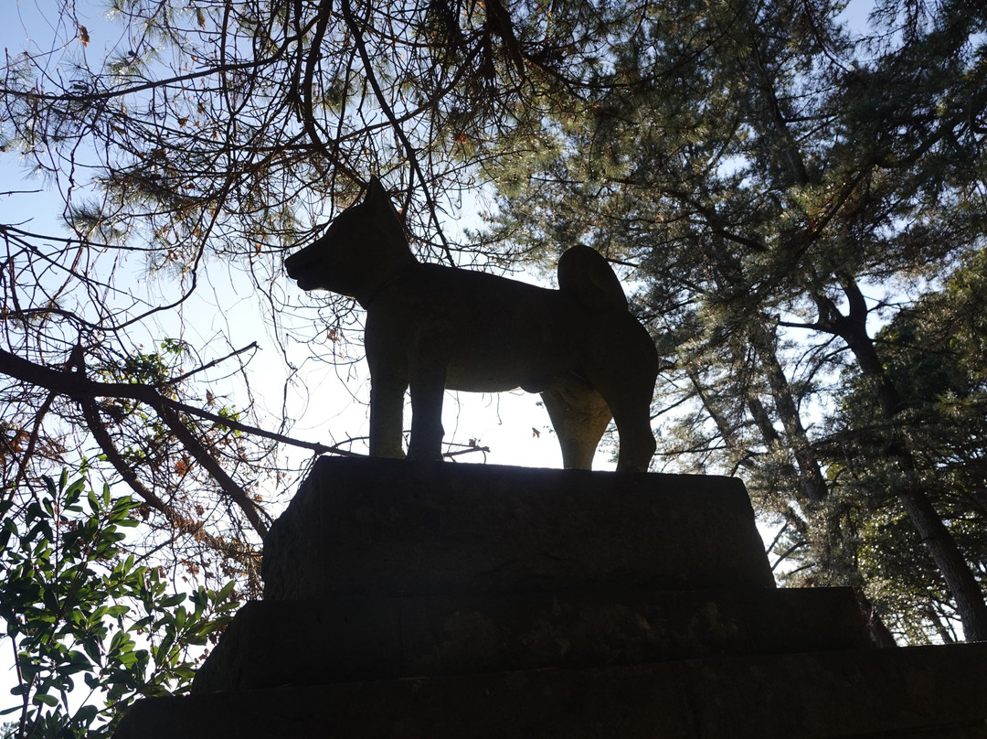 Cape Izura Park-北茨城市必去景点