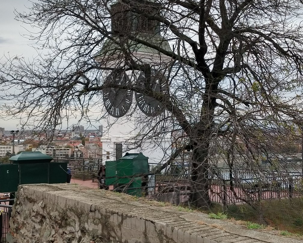 The Clock Tower-Petrovaradin必去景点