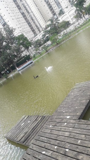 Parque Municipal Dom Jose-巴卢韦利必去景点