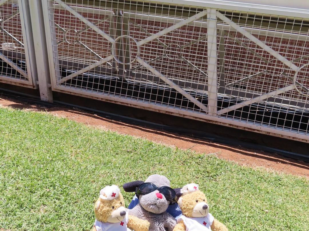 Dp World Wanderers Stadium景点图片