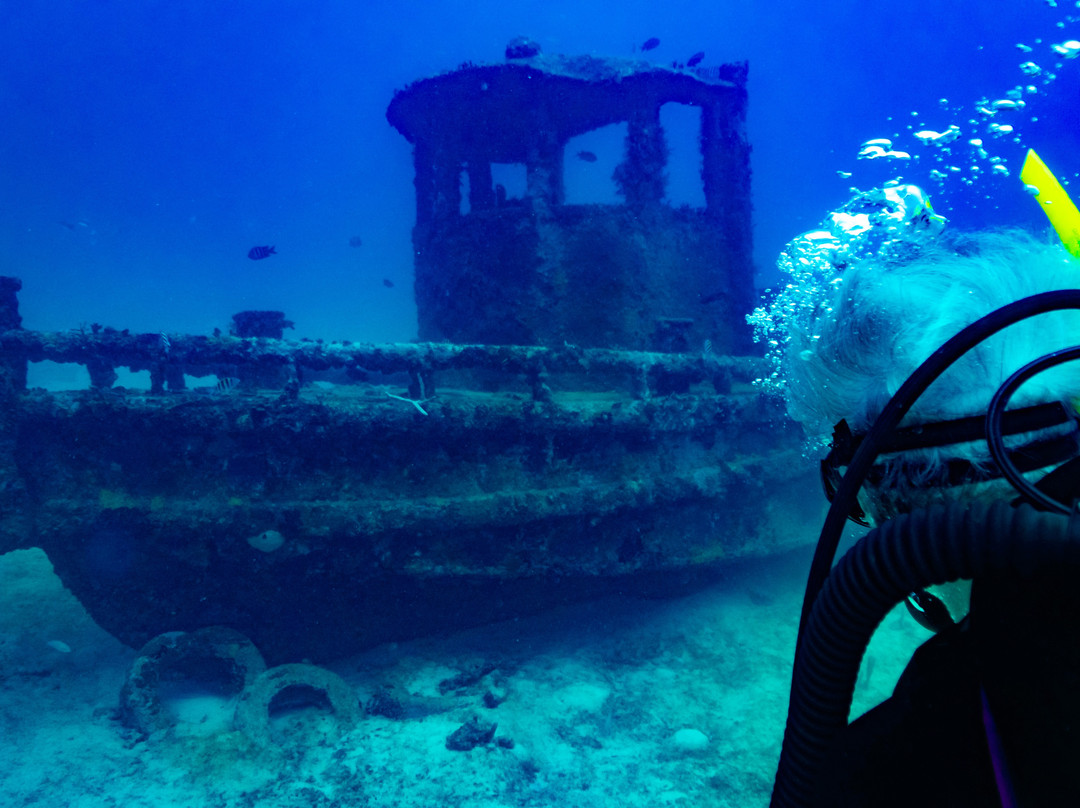 Deefer Diving Carriacou景点图片