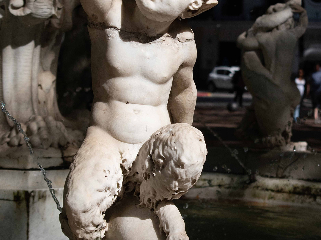 Plaza Matriz-蒙得维的亚必去景点