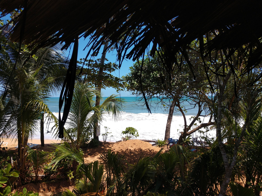 Island Plantation主图