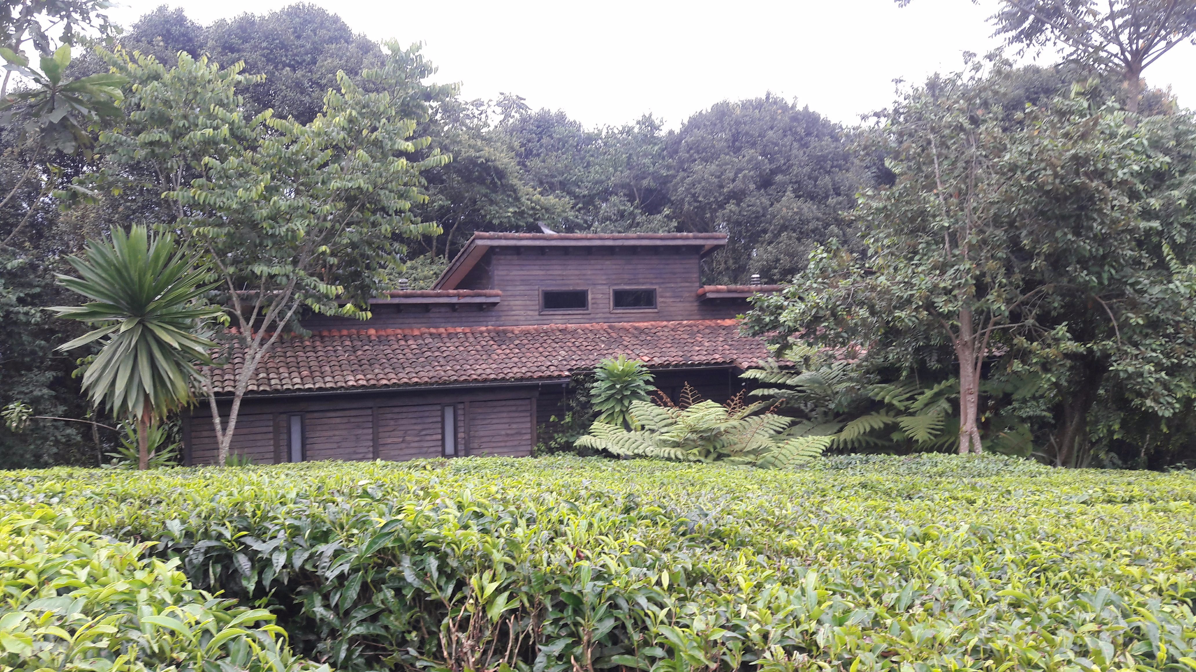 One & Only Nyungwe House-浴室