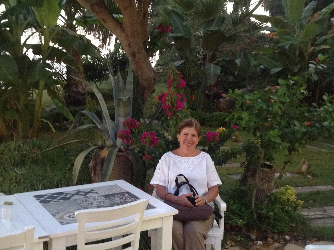 Marvel Tree Hotel Bozyazi主图