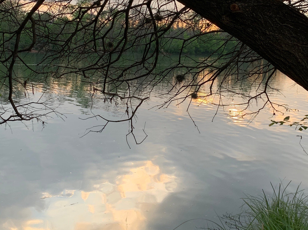 唐恩湖-奥斯丁必去景点