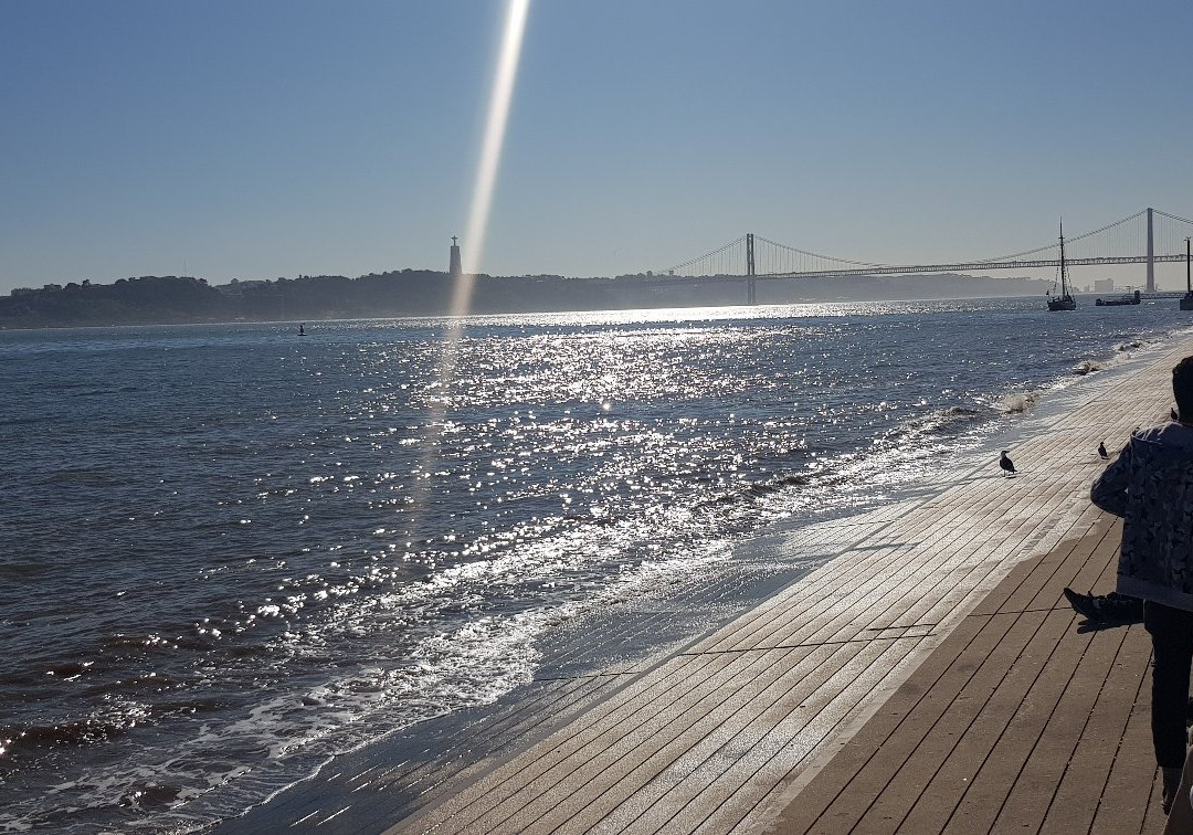 She Changes (The Anemone)-波尔图必去景点