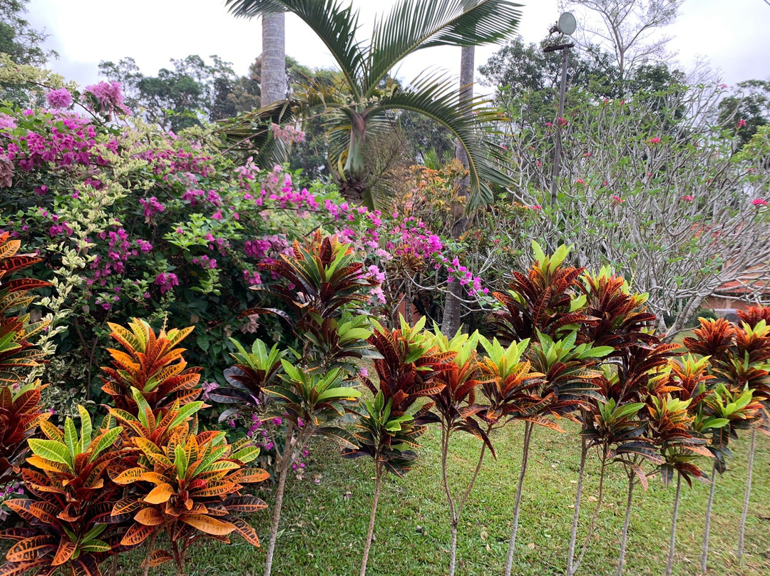 Krating Country Resort主图