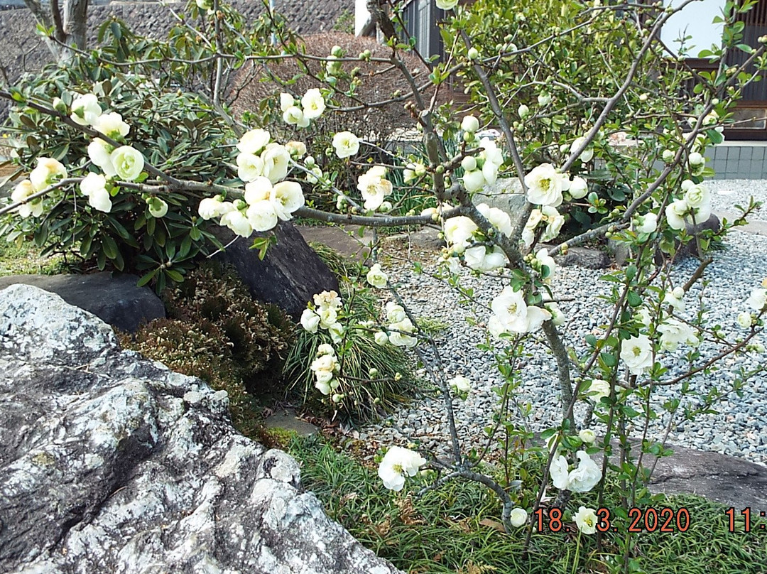 Kongo-ji Temple-秦野市必去景点