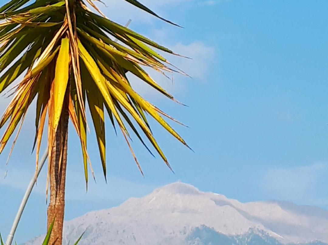 西纳特拉酒店 - 全包式主图