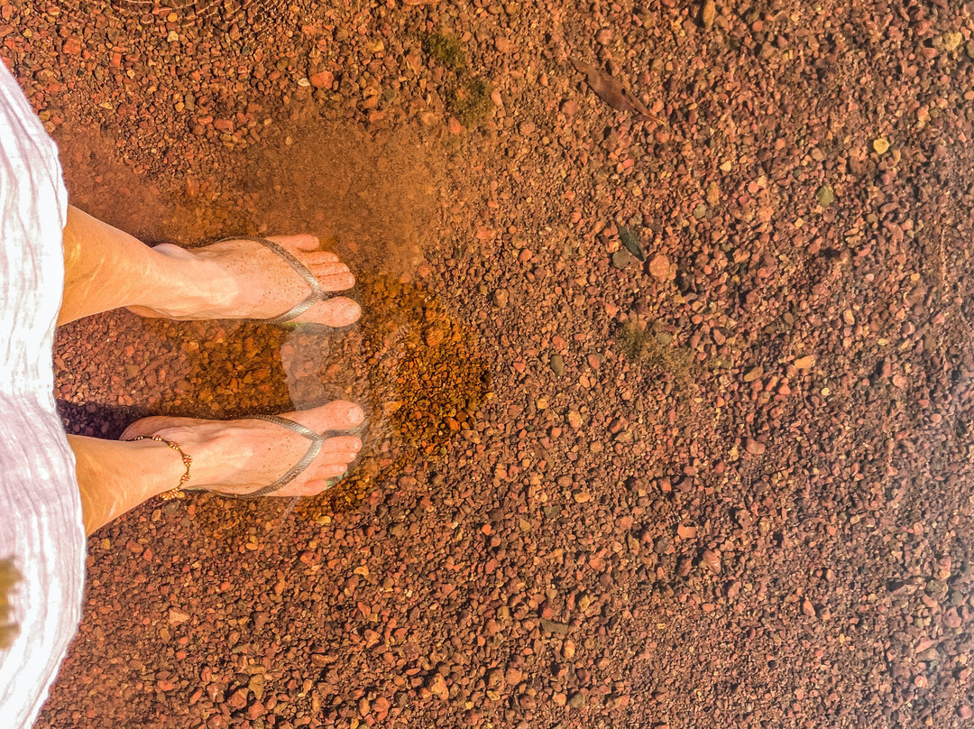 Serene Ravine Homestay主图