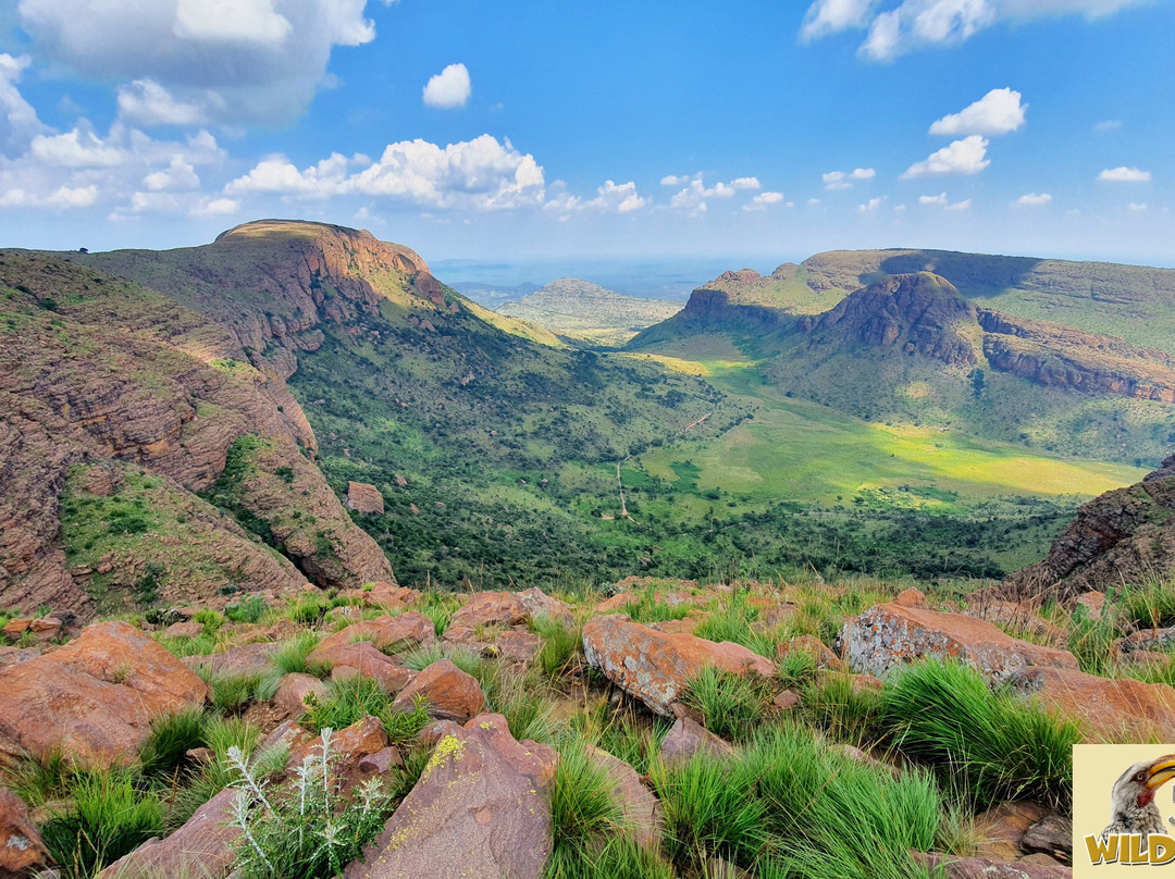 Marakele National Park景点图片