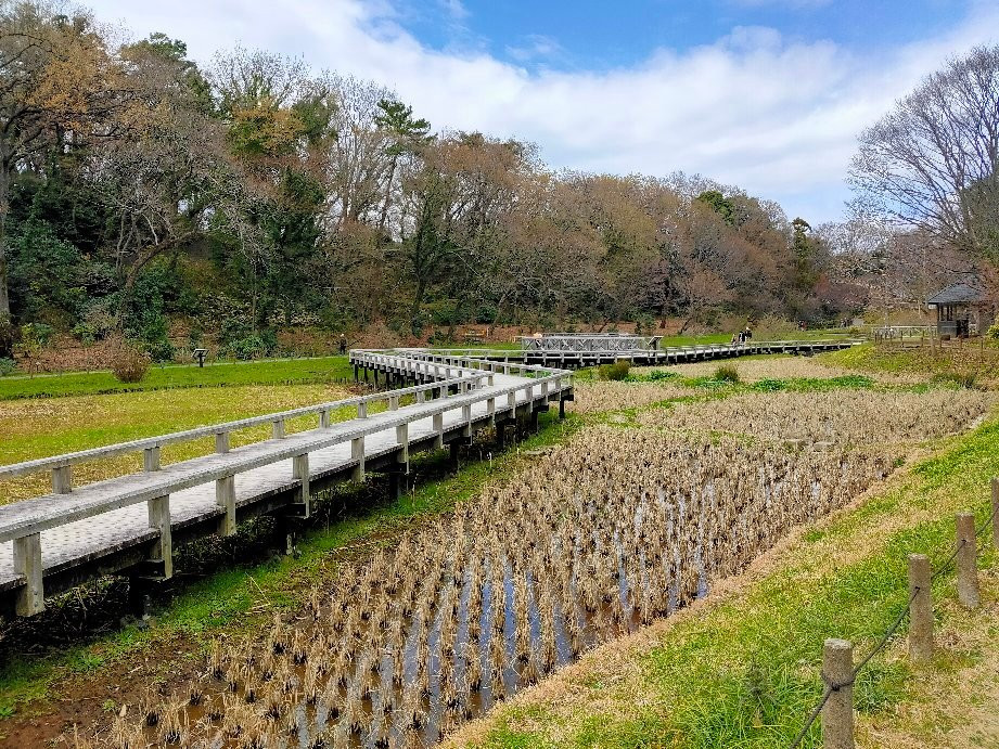 Jindai Aquatic Botanical Garden景点图片