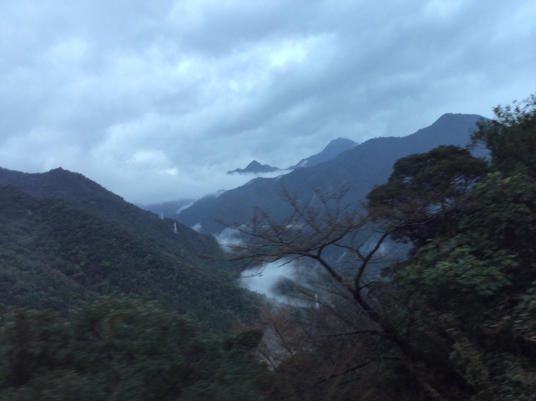 Kigensugi Cedar景点图片