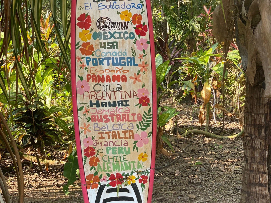 La Palapa Eco Lodge Resort主图