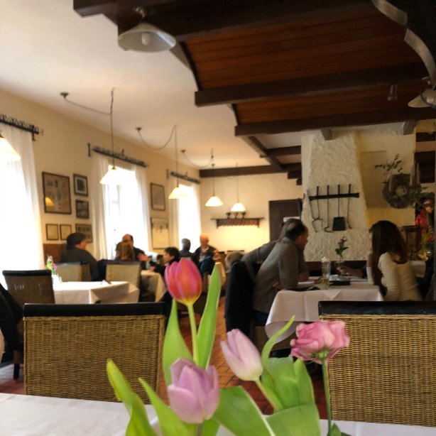 Hofgut Rodenstein-官方