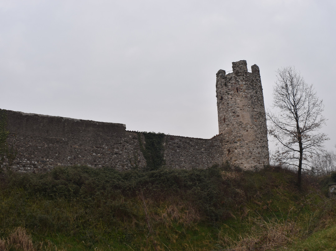 Castello di Carzago景点图片