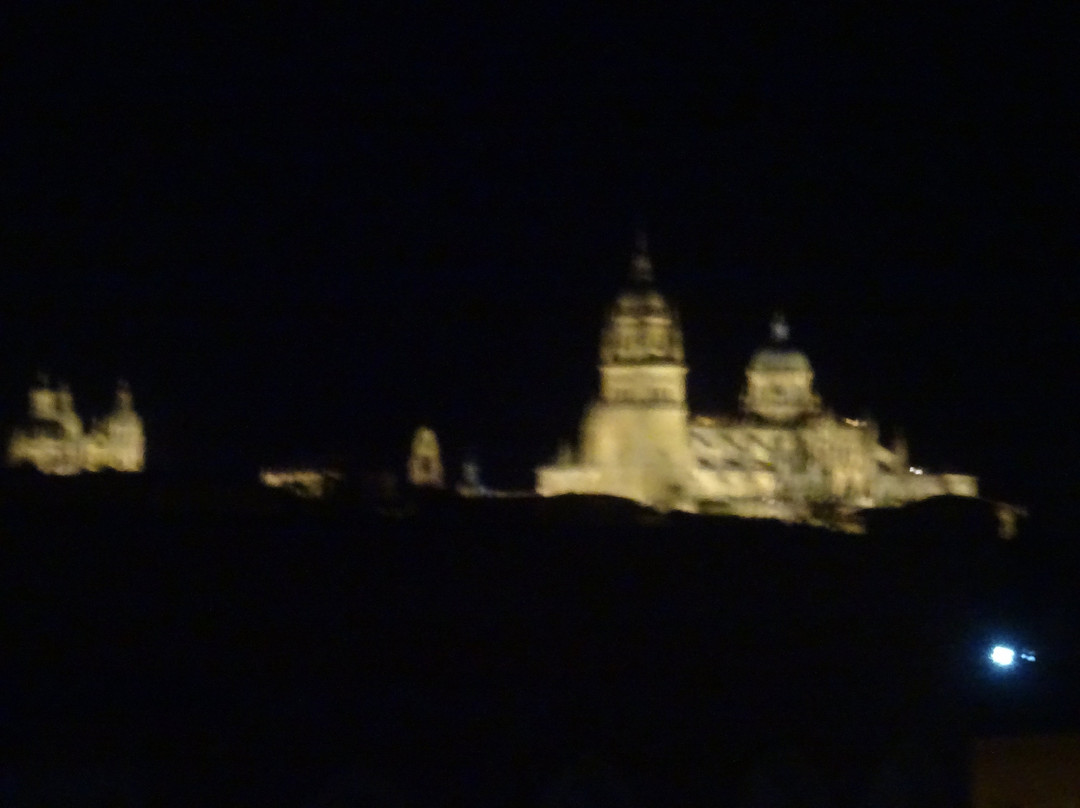 萨拉曼卡城维基酒店主图