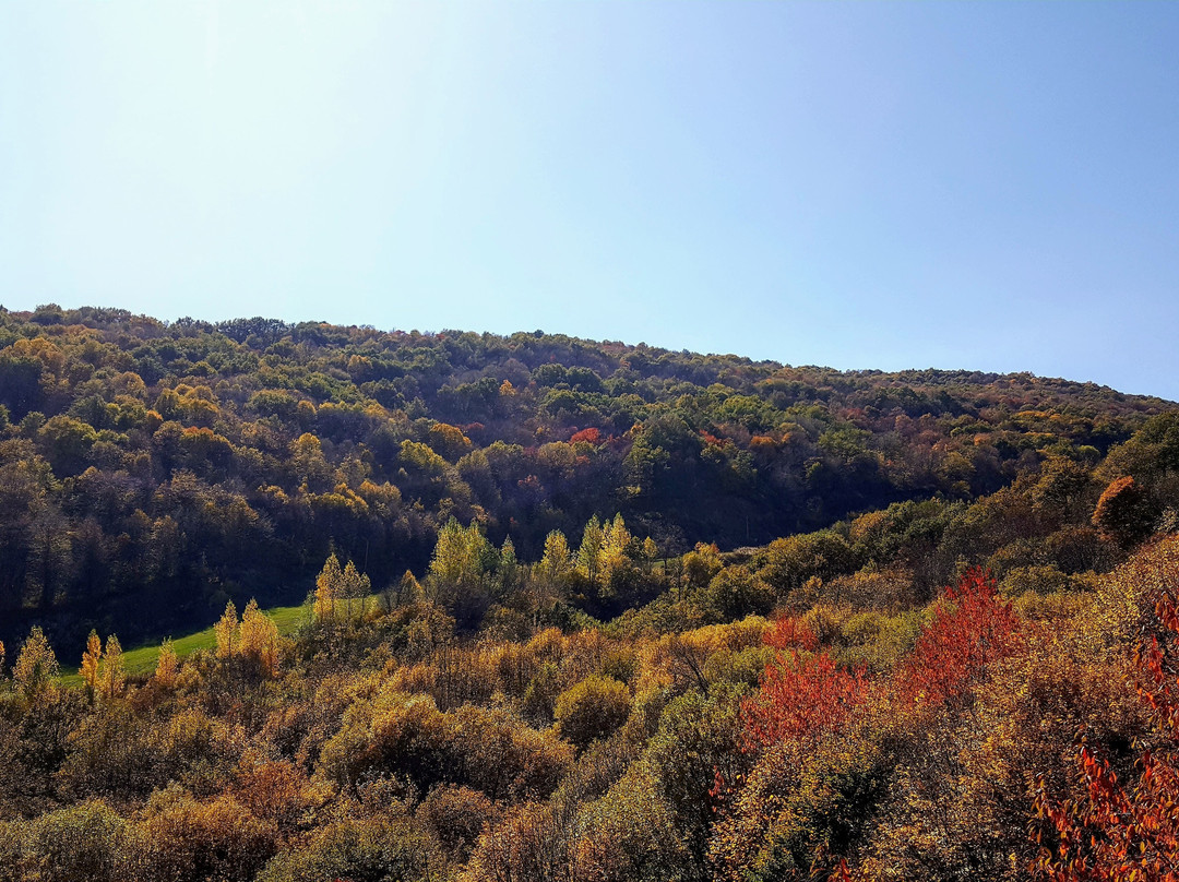 Tsaghkadzor Ropeway-Tsakhkadzor必去景点