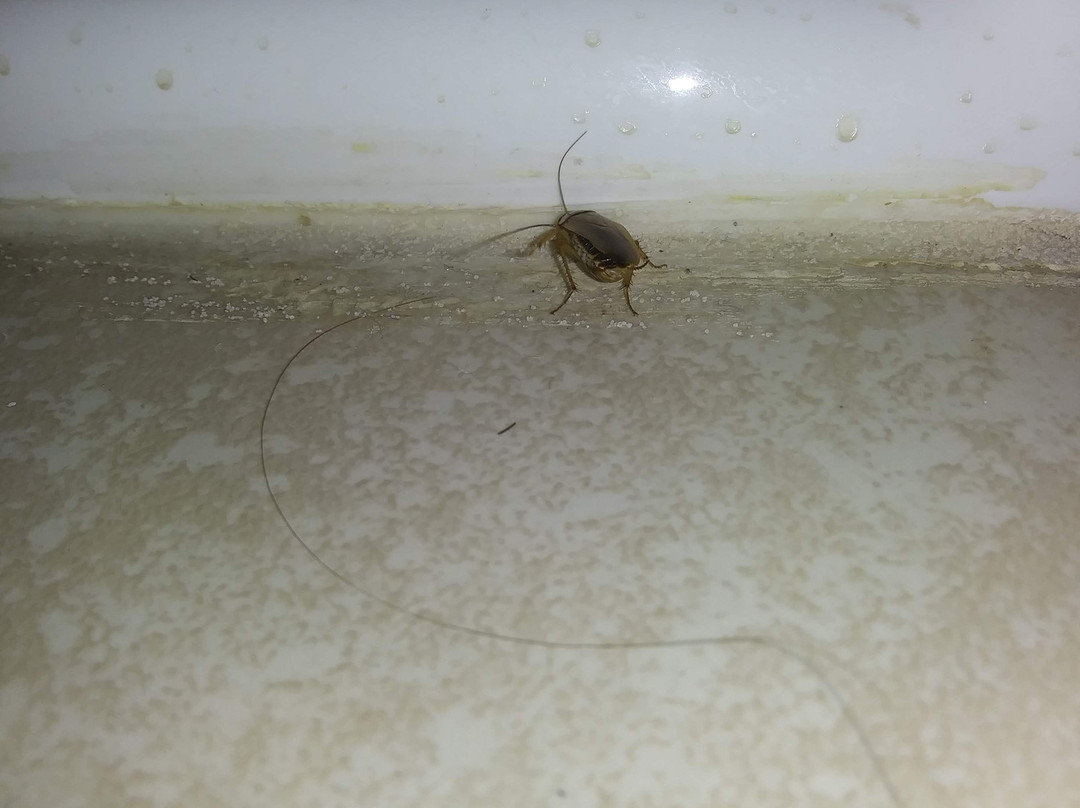 Super 8 by Wyndham Somerset主图