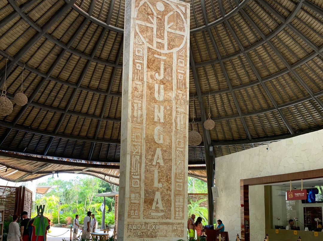 Jungala Aqua Experience-普拉亚德尔卡曼必去景点