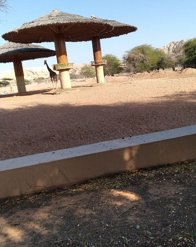 Amersons Travel and Tours L.L.C - Dubai Desert Safaris & City Tours-迪拜必去景点