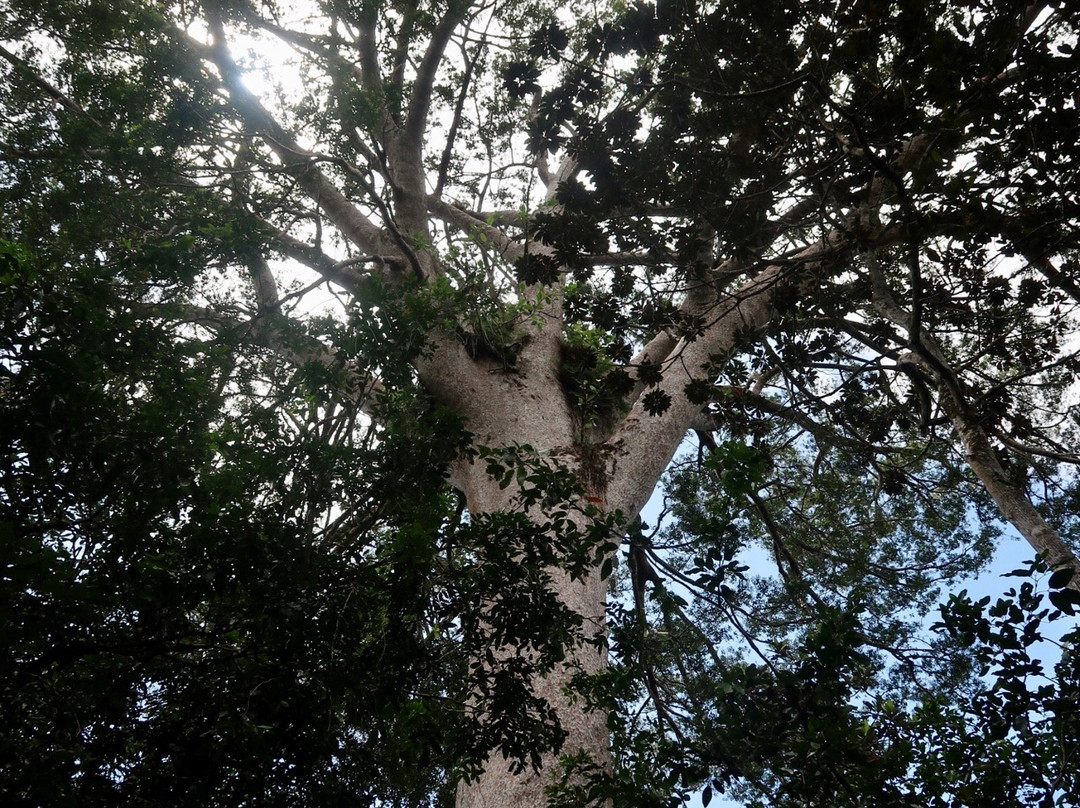 Sud Loisirs-Yate必去景点