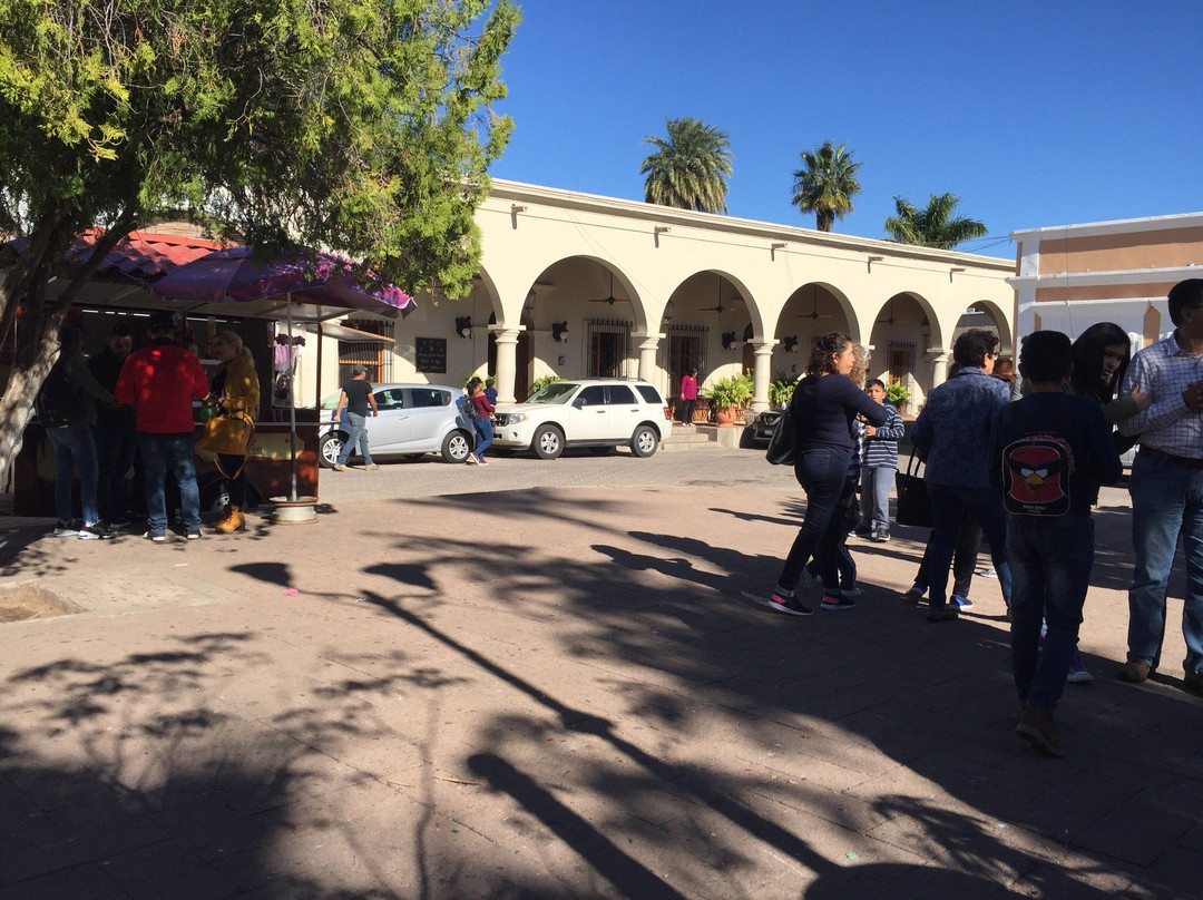 Terracota Restaurant