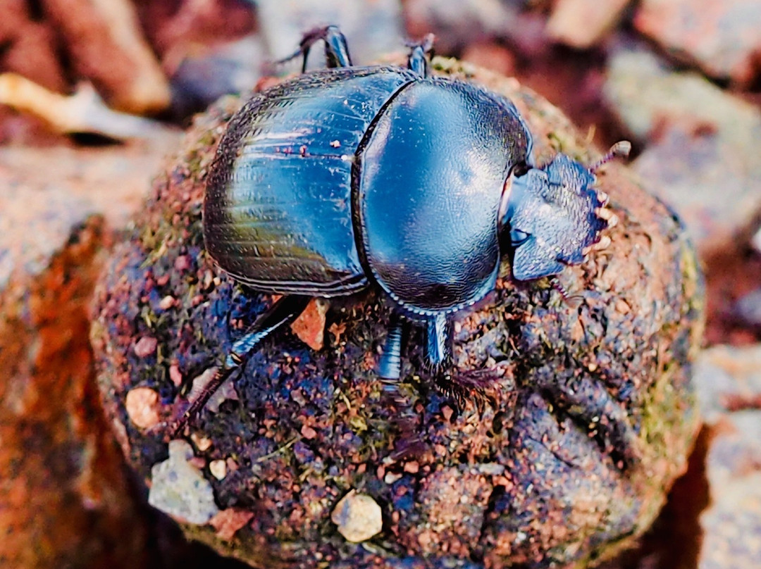 Mangaleka Africa-Umdloti必去景点