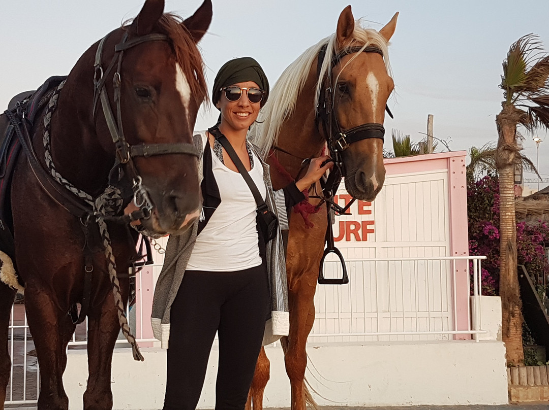 Ranch Aftass-索维拉必去景点