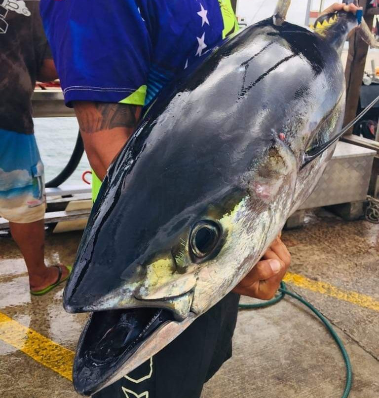 Marlin Queen Fishing Charters-拉罗汤加必去景点
