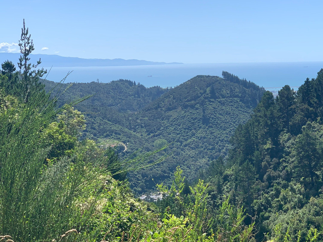 Dun Mountain Trail景点图片