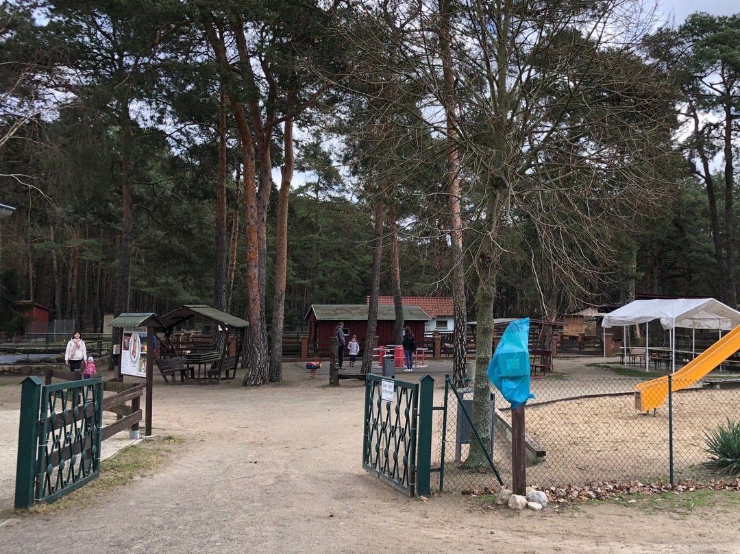 Freizeitpark Wendisch Rietz景点图片