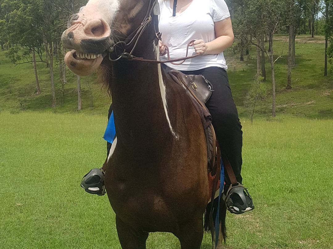 Slickers Horse Riding景点图片