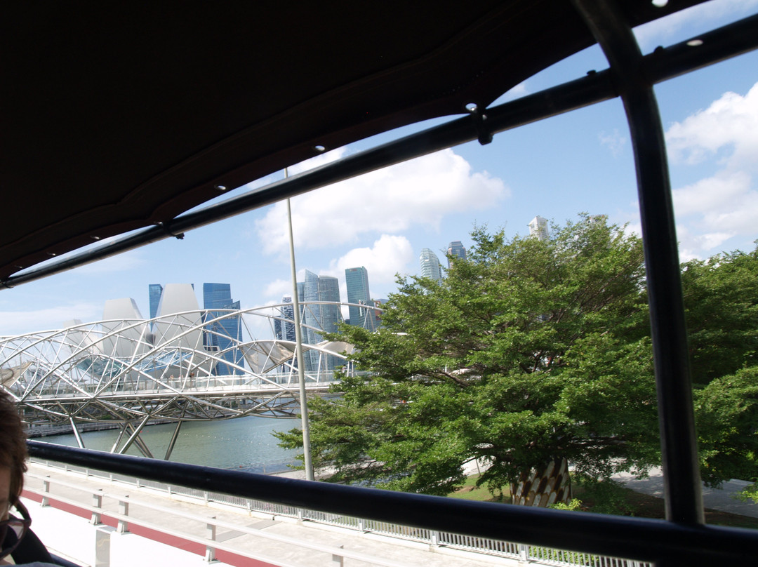 Big Bus Tours-新加坡必去景点