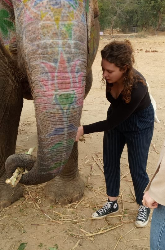 Ele Experience Farm-斋蒲尔必去景点