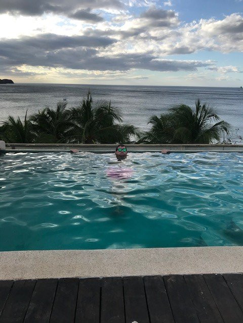 La Gaviota Tropical主图