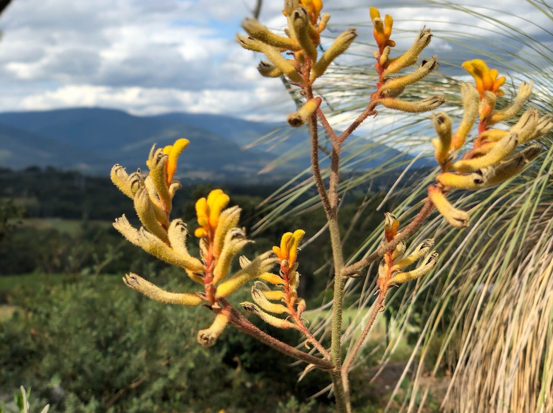 Seville Estate-Seville必去景点