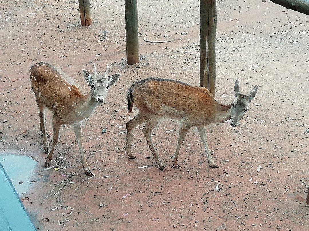 普罗梯亚威洛湖酒店主图