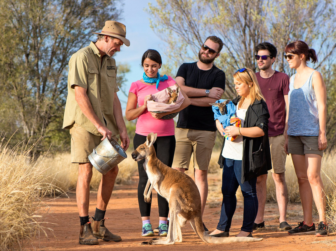 The Kangaroo Sanctuary-爱丽斯泉必去景点
