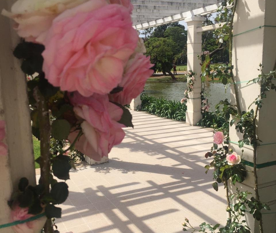 Rosedal De Palermo-布宜诺斯艾利斯必去景点