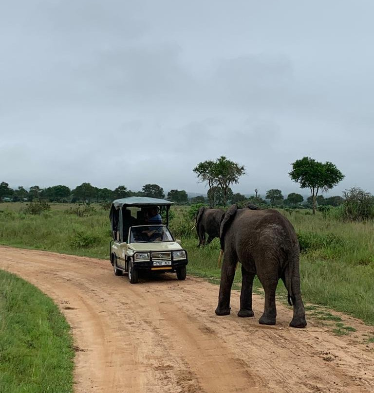 Yetu Safaris-莫洛哥罗必去景点