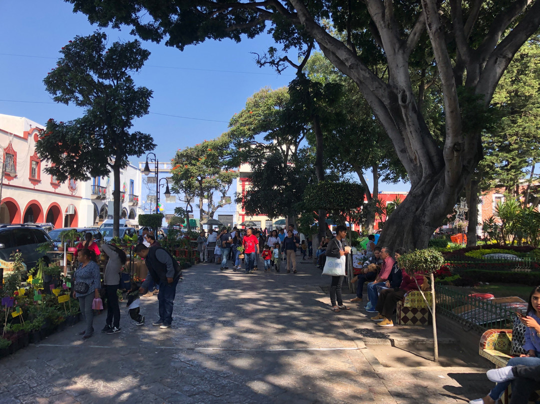 Zocalo De Atlixco景点图片