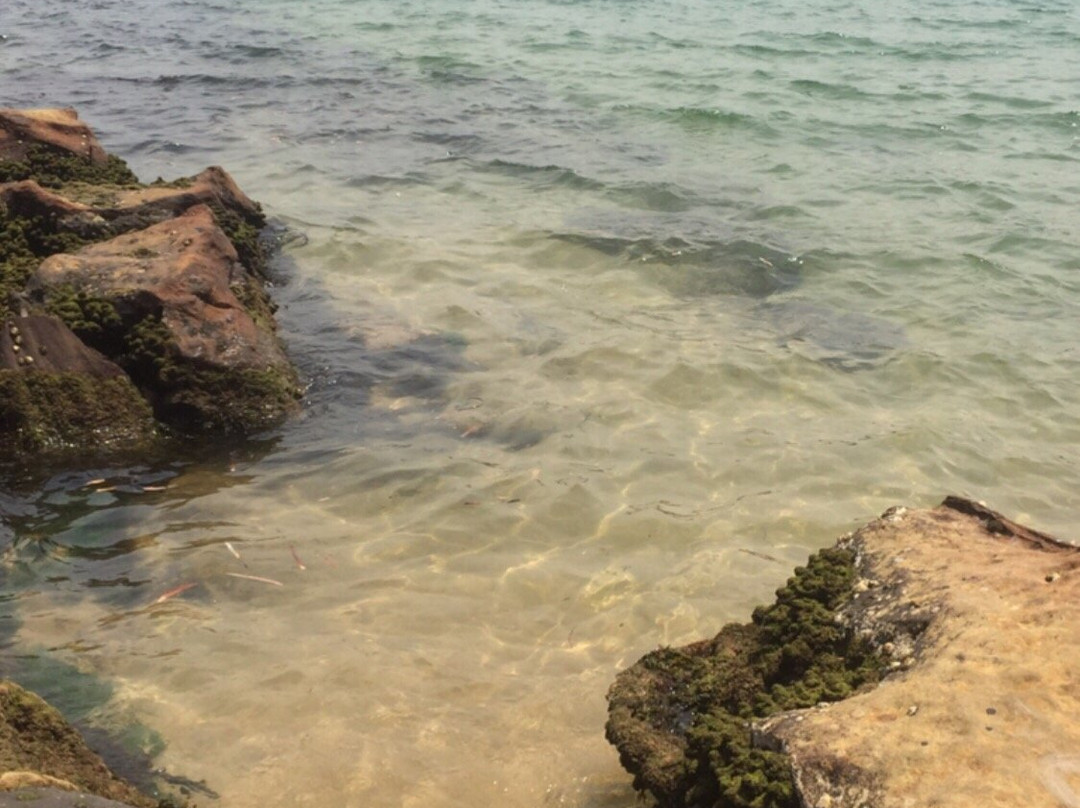 Putty Beach景点图片