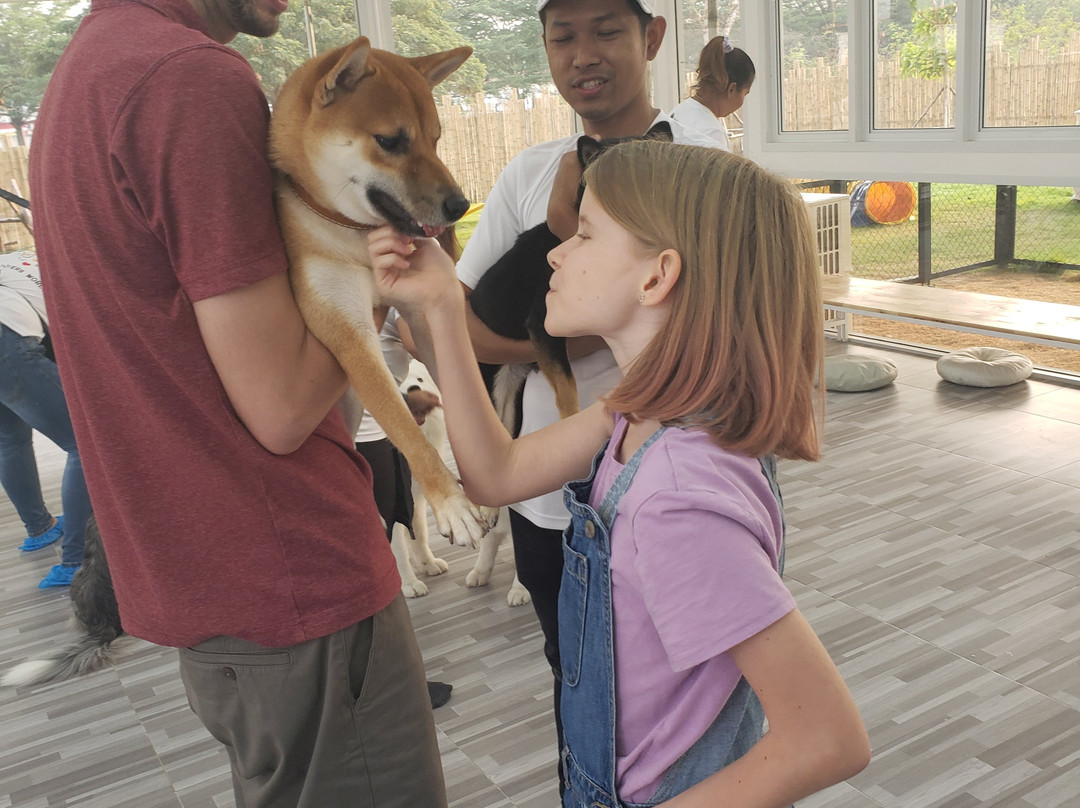 BlaBlaBoo - Premium Dog Cafe-挽巴茵必去景点