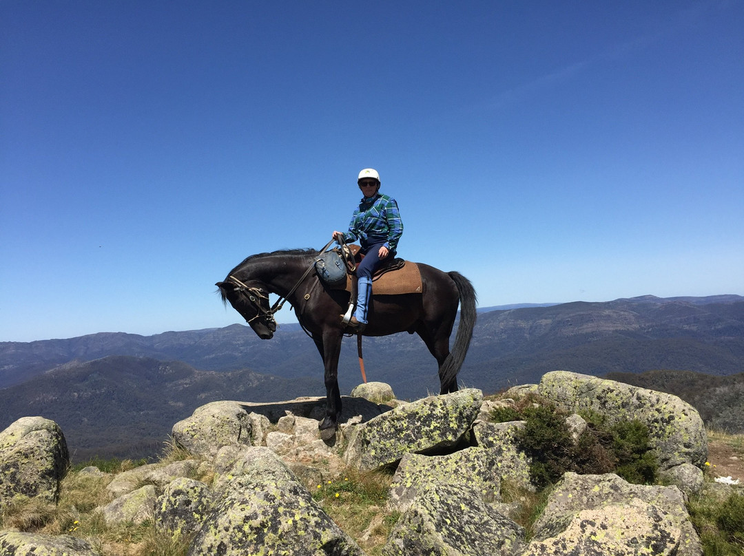 Hidden Trails by Horseback-Tolmie必去景点
