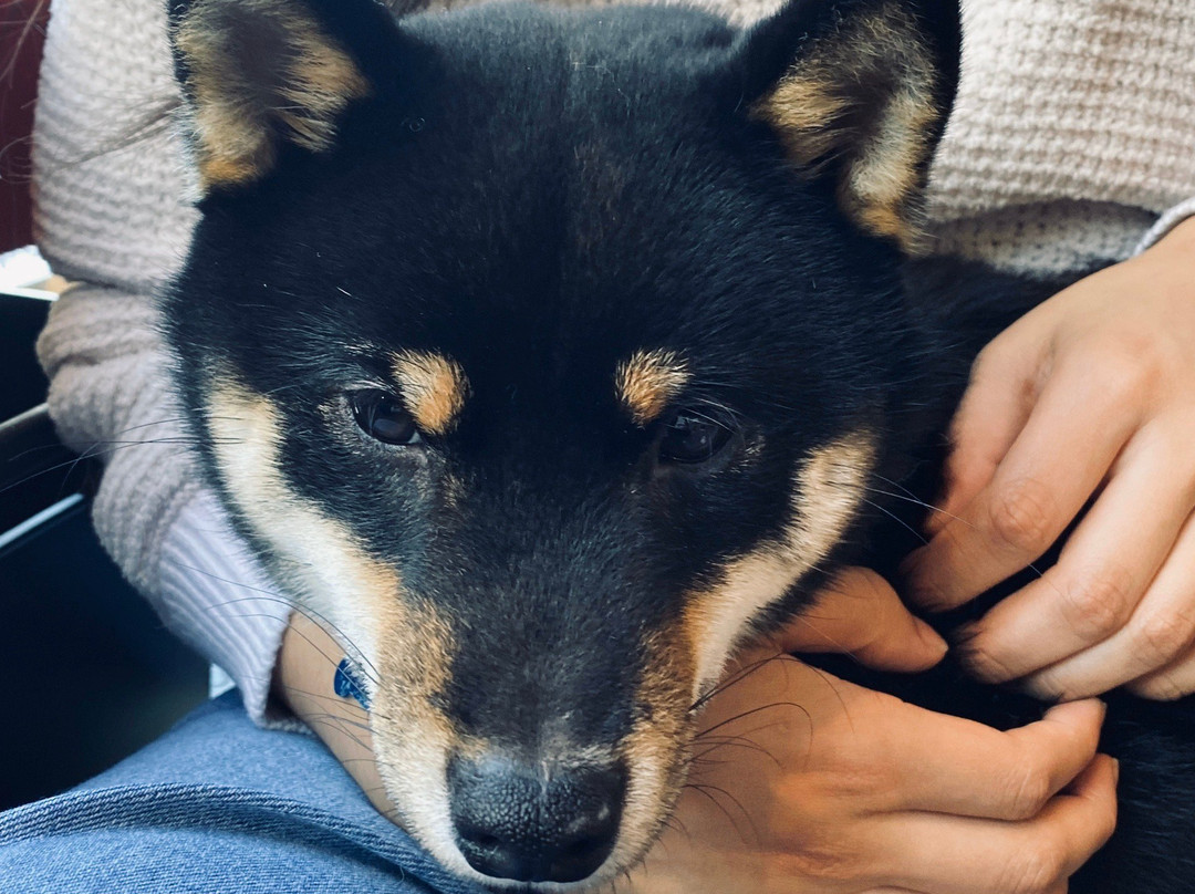 Cafe Ryoma-京都市必去景点