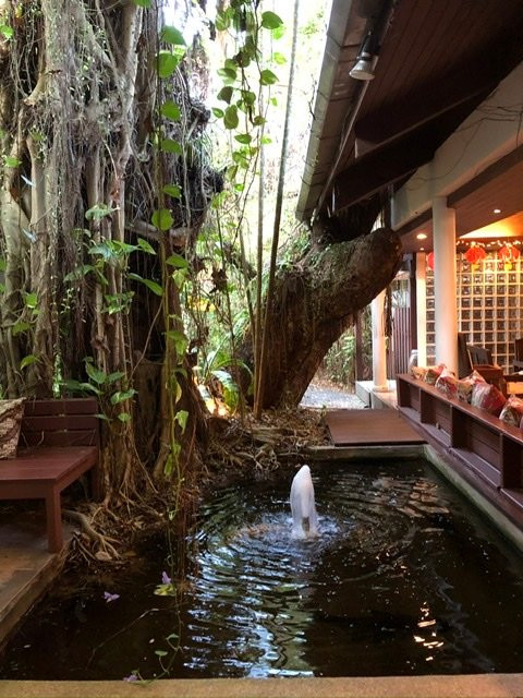 雨林Spa-普吉岛必去景点