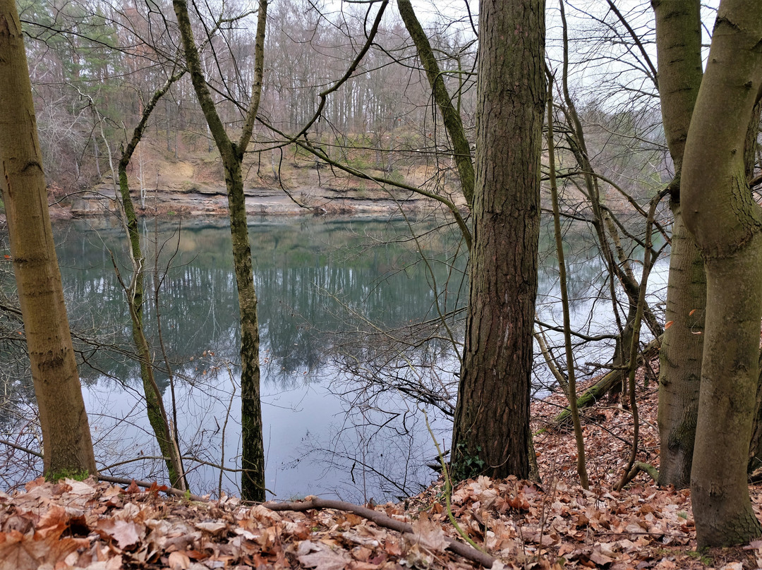 Velpker Schweiz-Velpke必去景点