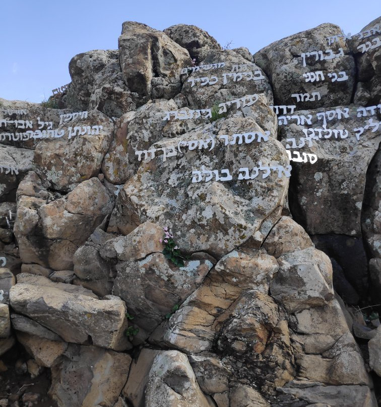 Gamla Nature Reserve-Katzrin必去景点